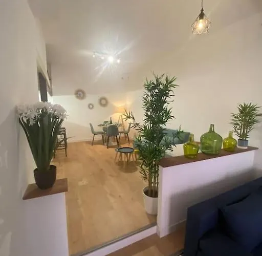 Appartement Loft - Centre Historique *